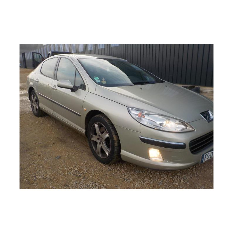 Custode avant gauche (porte) PEUGEOT 407 PHASE 1 d’occasion