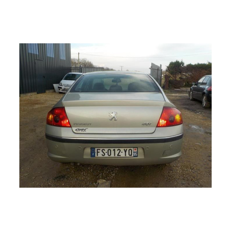 Custode avant gauche (porte) PEUGEOT 407 PHASE 1 d’occasion
