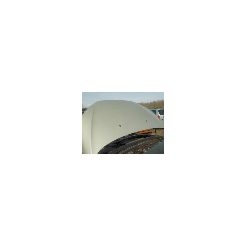 Capot PEUGEOT 407 PHASE 1 d’occasion