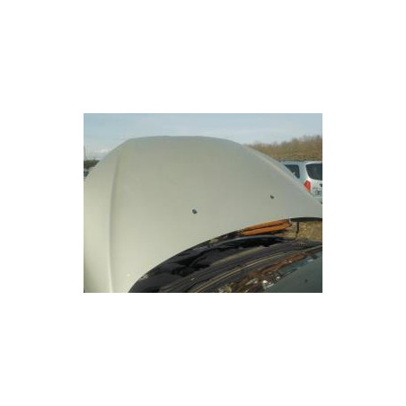Capot PEUGEOT 407 PHASE 1 d’occasion