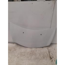 Capot RENAULT CLIO 3 PHASE 1 d’occasion