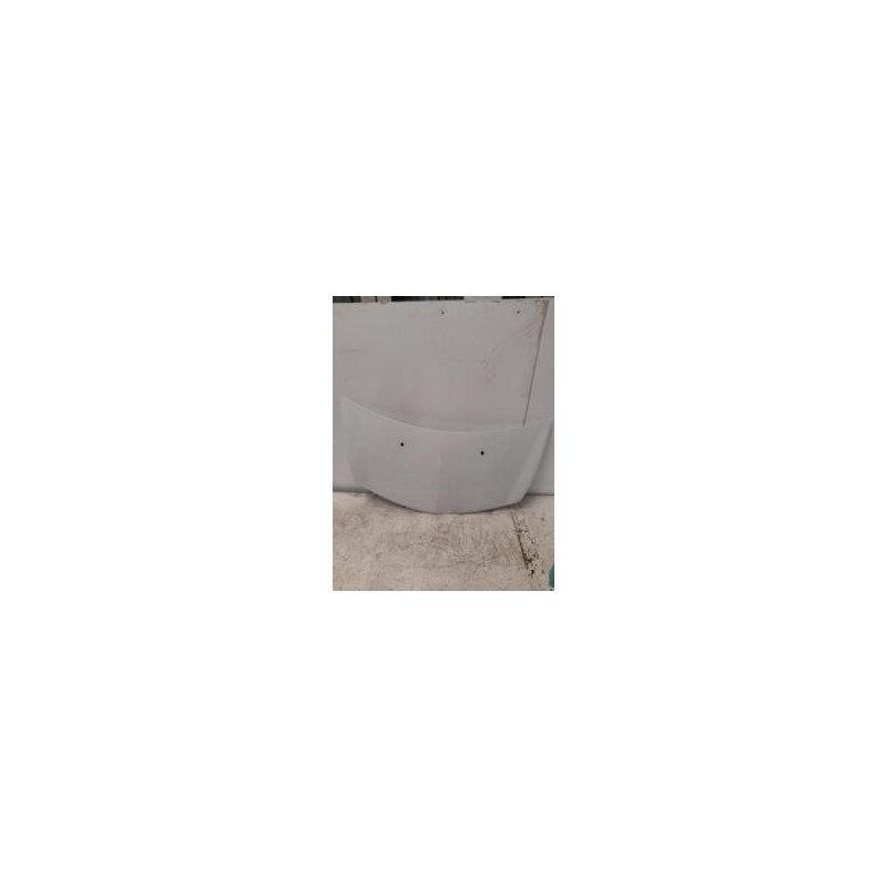 Capot RENAULT CLIO 3 PHASE 1 d’occasion