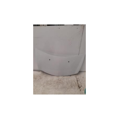 Capot RENAULT CLIO 3 PHASE 1 d’occasion