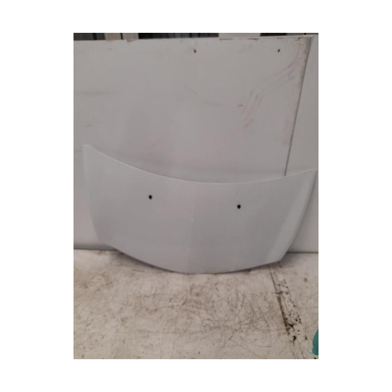 Capot RENAULT CLIO 3 PHASE 1 d’occasion