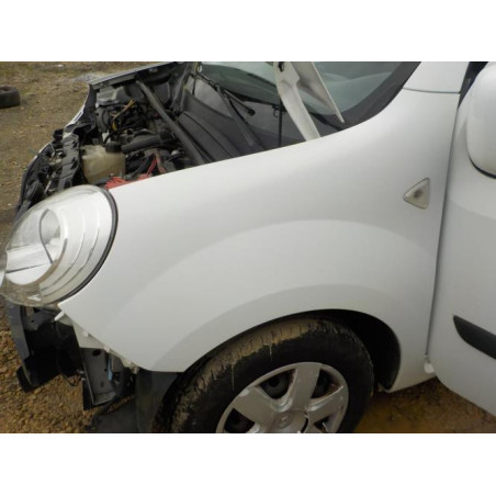 Feu arriere secondaire gauche (feux) RENAULT KANGOO 2 PHASE 1 d’occasion
