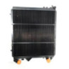 Radiateur eau RENAULT R19 PHASE 1 d’occasion