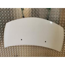 Capot RENAULT CLIO 3 PHASE 1 d’occasion
