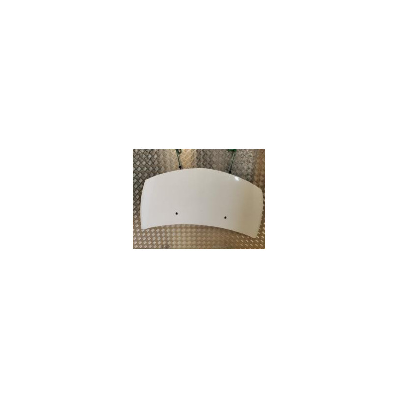 Capot RENAULT CLIO 3 PHASE 1 d’occasion