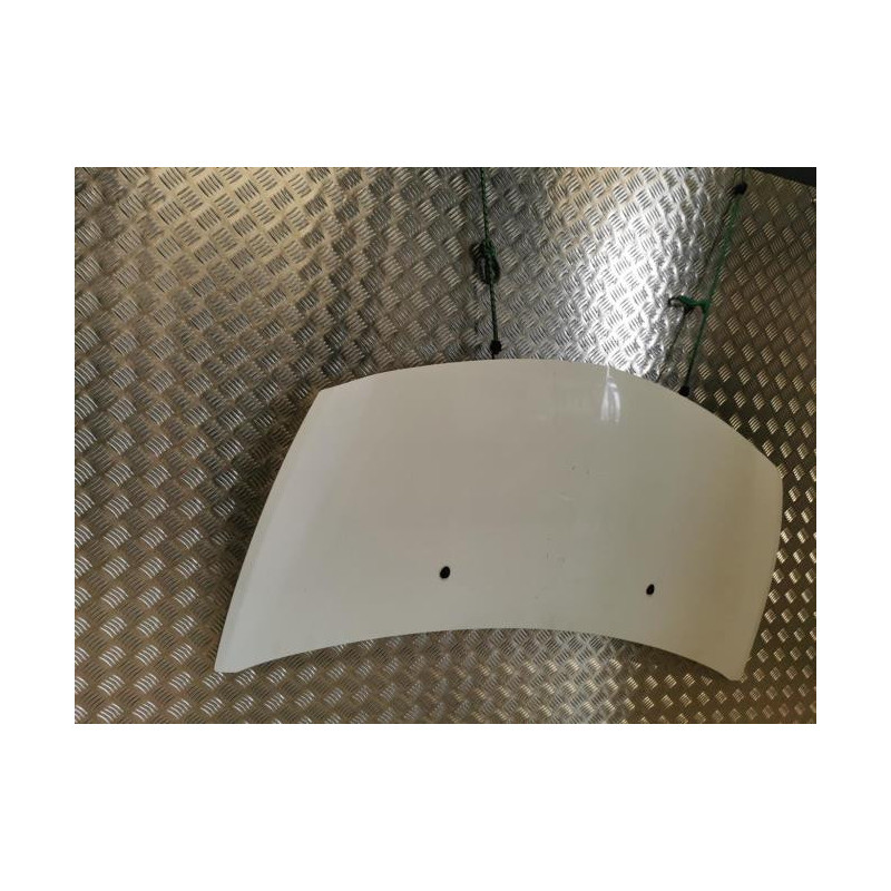 Capot RENAULT CLIO 3 PHASE 1 d’occasion