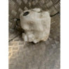 Vase de lave glace RENAULT SCENIC 2 PHASE 1 d’occasion