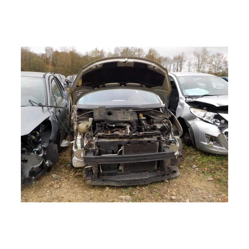 Poignee porte avant gauche PEUGEOT 207 PHASE 1 d’occasion