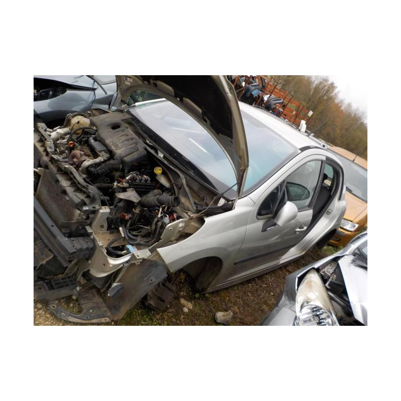 Poignee porte avant gauche PEUGEOT 207 PHASE 1 d’occasion