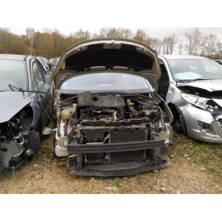 Poignee porte avant gauche PEUGEOT 207 PHASE 1 d’occasion