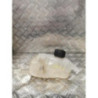 Vase d'expansion RENAULT MEGANE 3 PHASE 1 BREAK d’occasion