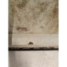 Porte de coffre gauche PEUGEOT EXPERT 1 PHASE 1 d’occasion
