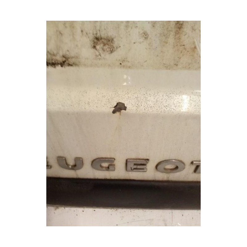 Porte de coffre gauche PEUGEOT EXPERT 1 PHASE 1 d’occasion