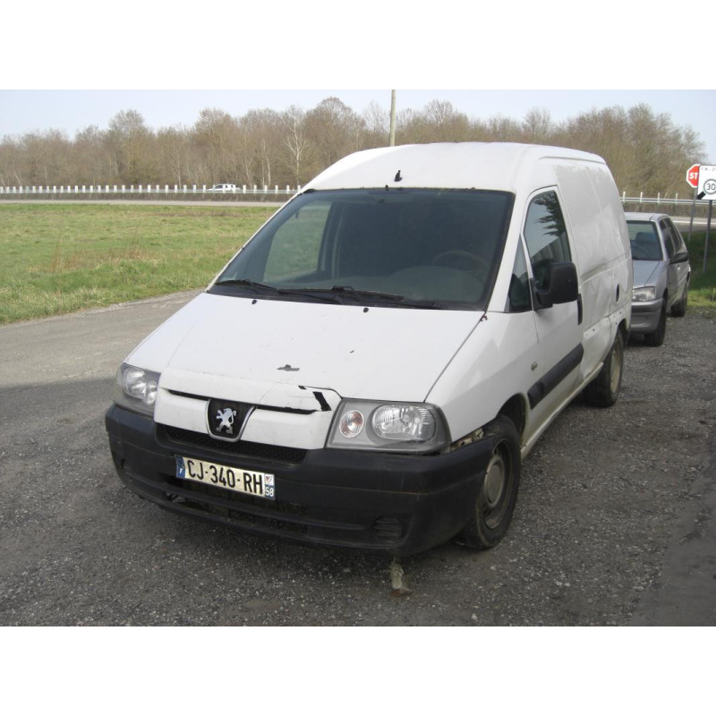 Porte de coffre gauche PEUGEOT EXPERT 1 PHASE 1 d’occasion