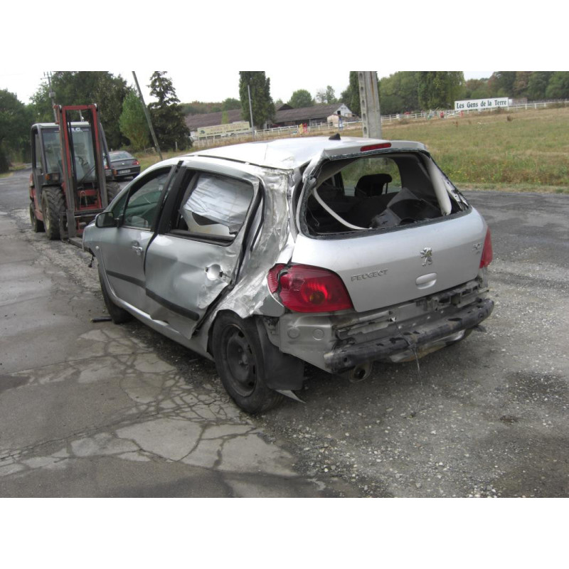 Capot PEUGEOT 307 PHASE 1 d’occasion