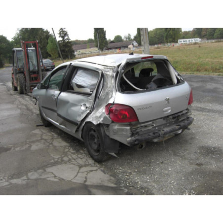 Capot PEUGEOT 307 PHASE 1 d’occasion
