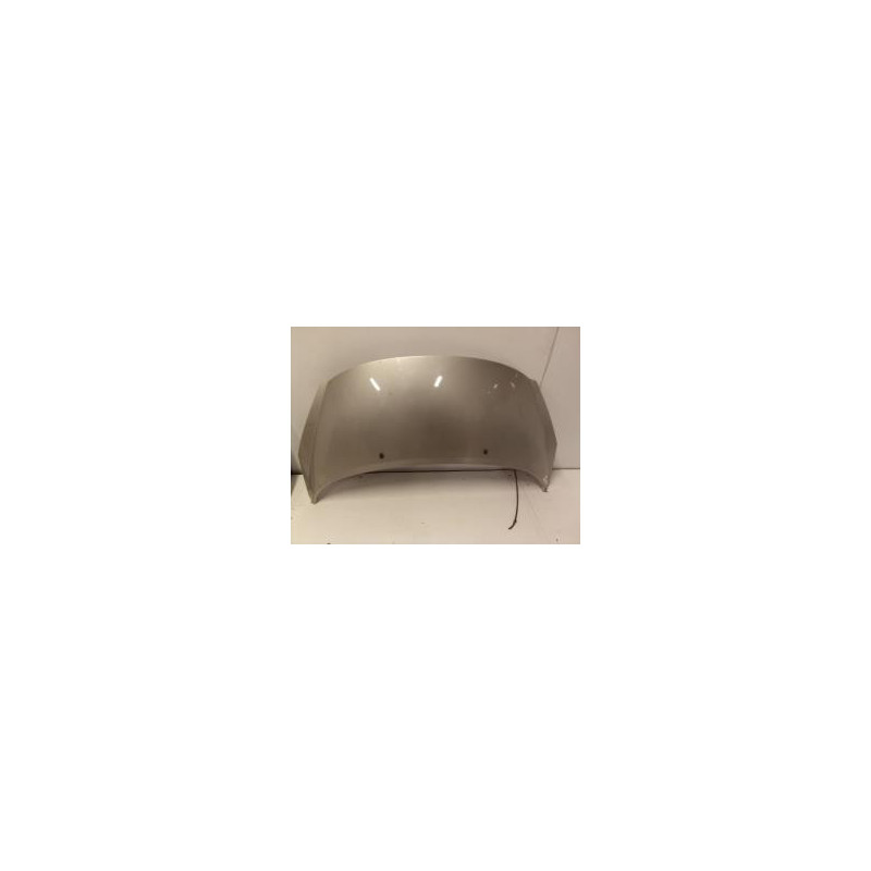 Capot PEUGEOT 207 PHASE 1 d’occasion