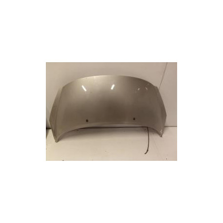 Capot PEUGEOT 207 PHASE 1 d’occasion