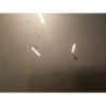 Capot PEUGEOT 207 PHASE 1 d’occasion