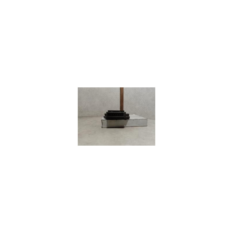 Module d'allumage (allumage) PEUGEOT  d’occasion