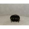 Bouton/Interrupteur SEAT  d’occasion